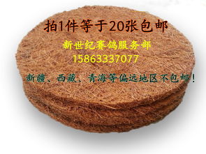 棕垫21cm与0.8cm防潮垫 品质生活的双重守护